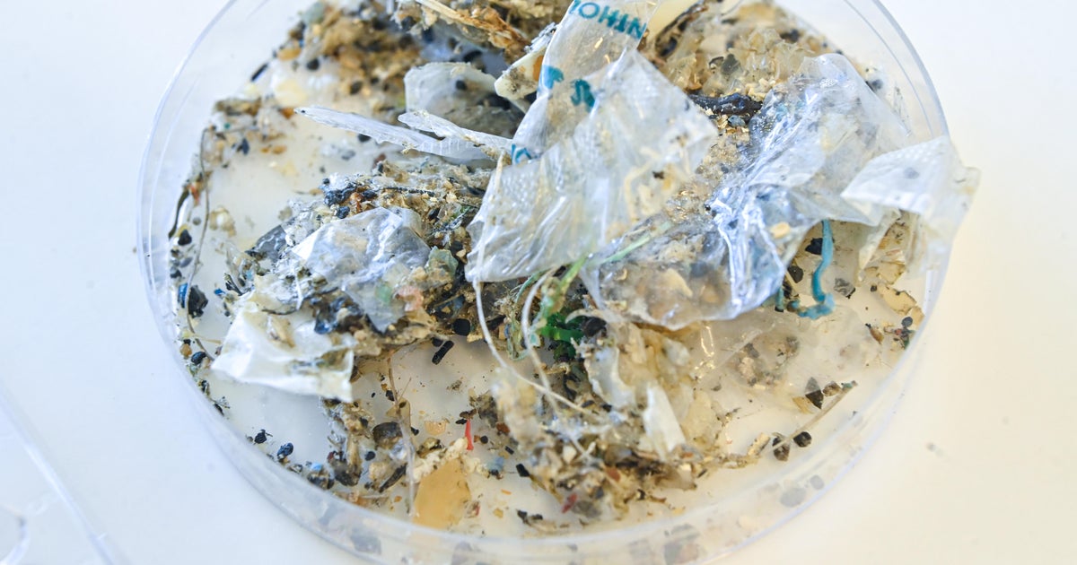 Plastic causing “disease and death from infancy to old age” that costs $1.5 trillion a year, report warns